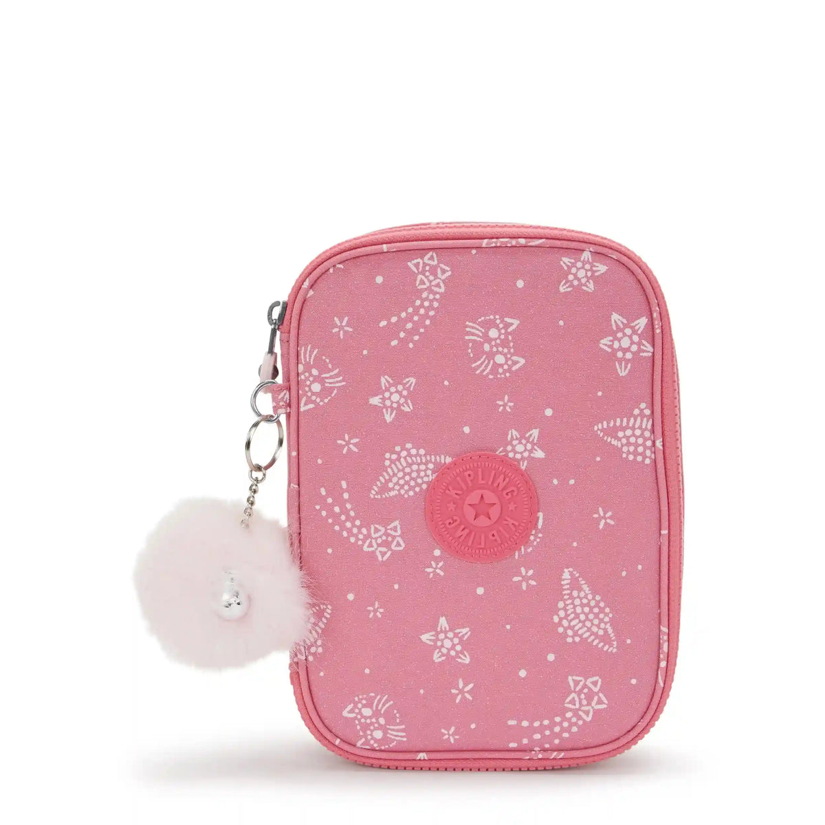100 Pens Case